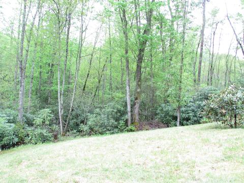 167 Violet Lane Hampton Tn 37658, Hampton, TN 37658 photo 4