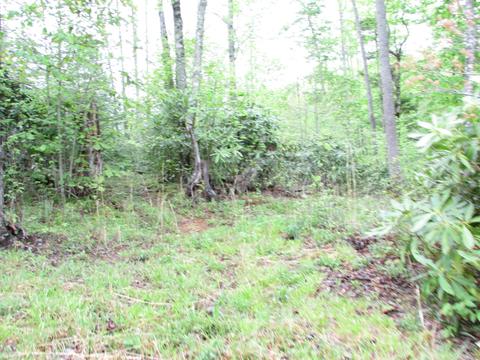 167 Violet Lane Hampton Tn 37658, Hampton, TN 37658 photo 18