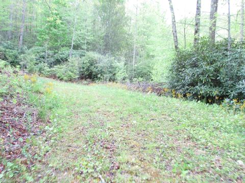 167 Violet Lane Hampton Tn 37658, Hampton, TN 37658 photo 5