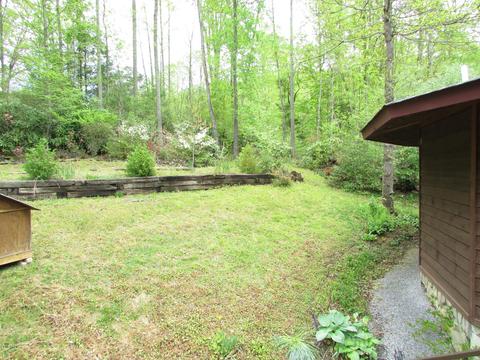 167 Violet Lane Hampton Tn 37658, Hampton, TN 37658 photo 55