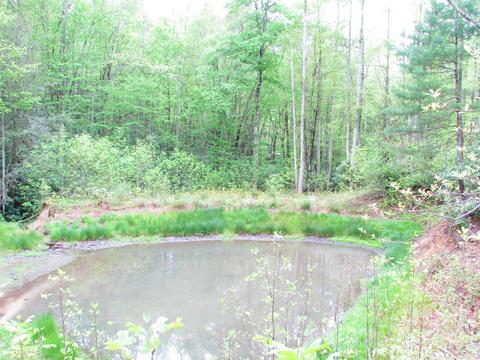 167 Violet Lane Hampton Tn 37658, Hampton, TN 37658 photo 10