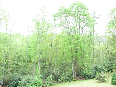 167 Violet Lane Hampton Tn 37658, Hampton, TN 37658 photo 20