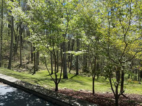 5219 Pole Bridge Road Wise Va 24293, Wise, VA 24293 photo 53