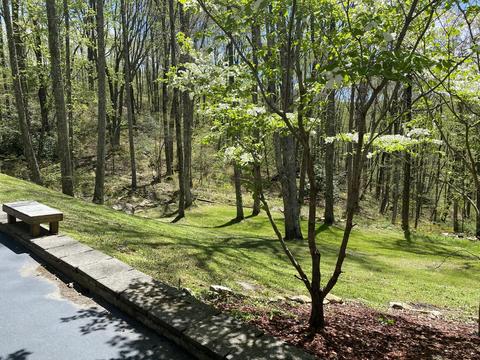 5219 Pole Bridge Road Wise Va 24293, Wise, VA 24293 photo 52