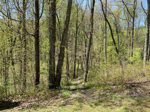 5219 Pole Bridge Road Wise Va 24293, Wise, VA 24293 photo 58