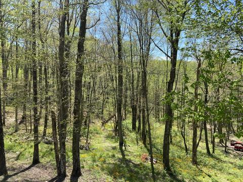 5219 Pole Bridge Road Wise Va 24293, Wise, VA 24293 photo 57