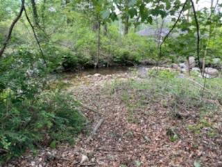 41 Jones Road Erwin Tn 37650, Erwin, TN 37650 photo 6