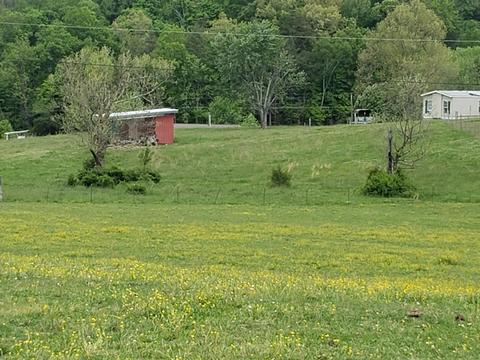 186 Silver Leaf Lane Chuckey Tn 37641, Chuckey, TN 37641 photo 2