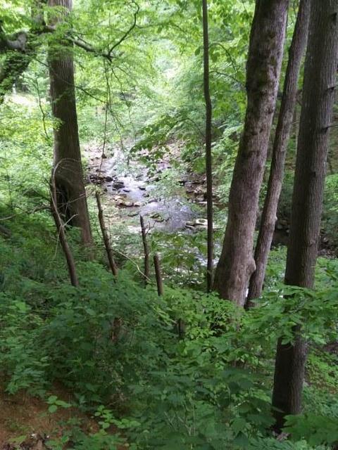 130 Creekside Lane Erwin Tn 37650, Erwin, TN 37650 photo 21