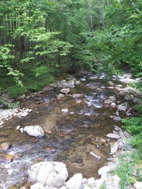 130 Creekside Lane Erwin Tn 37650, Erwin, TN 37650 photo 22