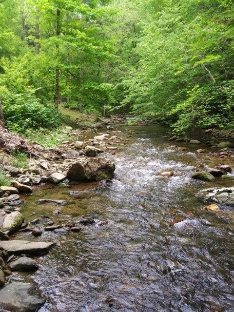 130 Creekside Lane Erwin Tn 37650, Erwin, TN 37650 photo 26