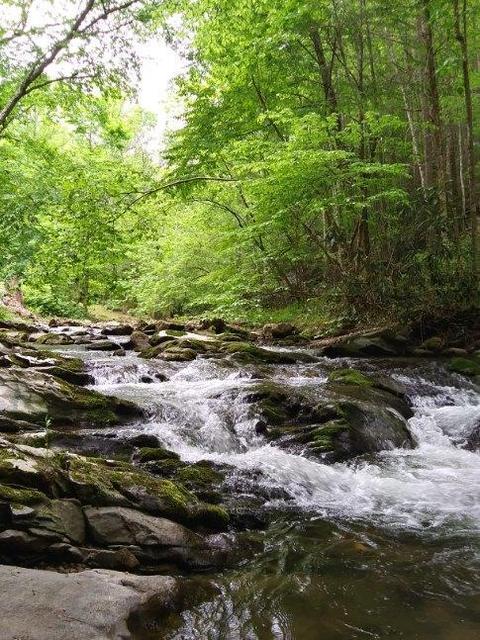 130 Creekside Lane Erwin Tn 37650, Erwin, TN 37650 photo 24