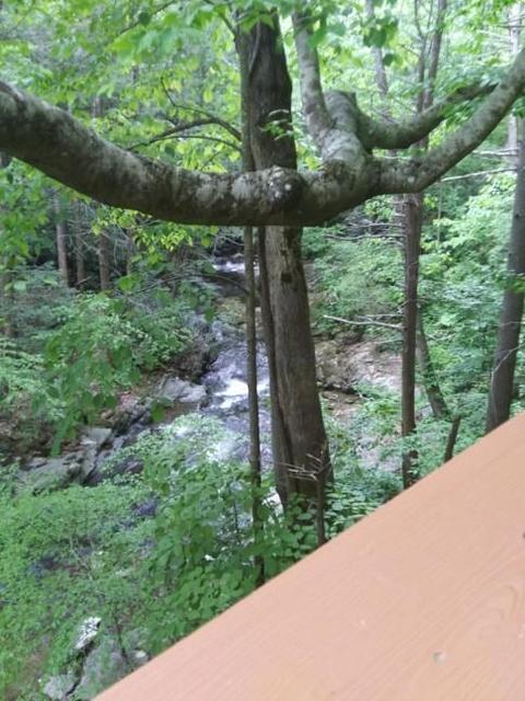 130 Creekside Lane Erwin Tn 37650, Erwin, TN 37650 photo 15