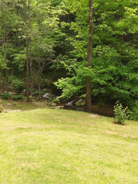 130 Creekside Lane Erwin Tn 37650, Erwin, TN 37650 photo 28