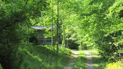 115 Bailey Woods Road Erwin Tn 37650, Erwin, TN 37650 photo 12