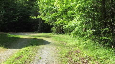 115 Bailey Woods Road Erwin Tn 37650, Erwin, TN 37650 photo 10
