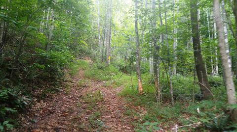 9547 Scott Ridge Road Abingdon Va 24210, Abingdon, VA 24210 photo 26