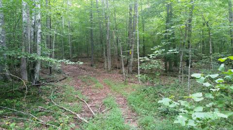 9547 Scott Ridge Road Abingdon Va 24210, Abingdon, VA 24210 photo 28