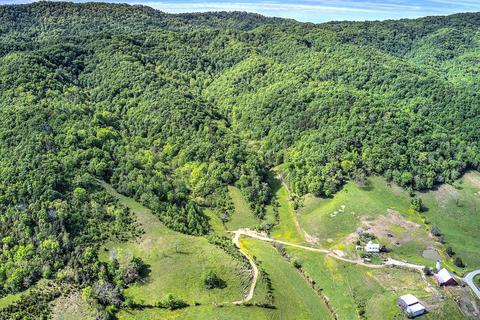 785 Fodderstack Mtn Loop Greeneville Tn 37745, Greeneville, TN 37745 photo 8