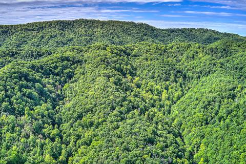 785 Fodderstack Mtn Loop Greeneville Tn 37745, Greeneville, TN 37745 photo 11