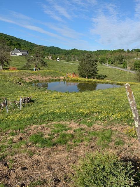 785 Fodderstack Mtn Loop Greeneville Tn 37745, Greeneville, TN 37745 photo 49