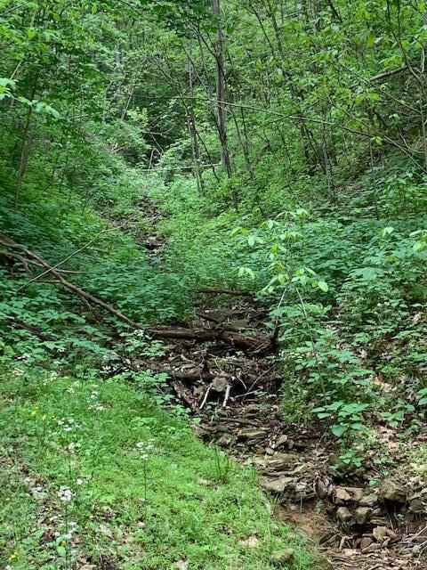 785 Fodderstack Mtn Loop Greeneville Tn 37745, Greeneville, TN 37745 photo 42