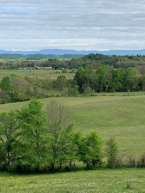 785 Fodderstack Mtn Loop Greeneville Tn 37745, Greeneville, TN 37745 photo 33