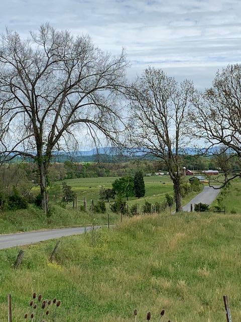 785 Fodderstack Mtn Loop Greeneville Tn 37745, Greeneville, TN 37745 photo 24