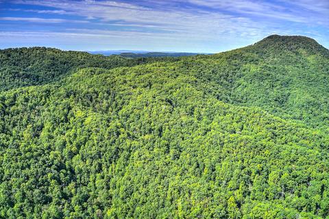 785 Fodderstack Mtn Loop Greeneville Tn 37745, Greeneville, TN 37745 photo 13