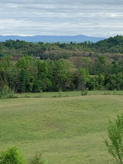 785 Fodderstack Mtn Loop Greeneville Tn 37745, Greeneville, TN 37745 photo 36