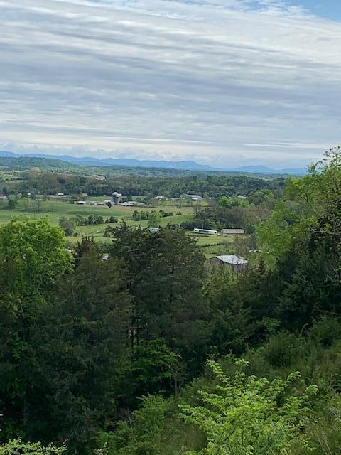 785 Fodderstack Mtn Loop Greeneville Tn 37745, Greeneville, TN 37745 photo 40