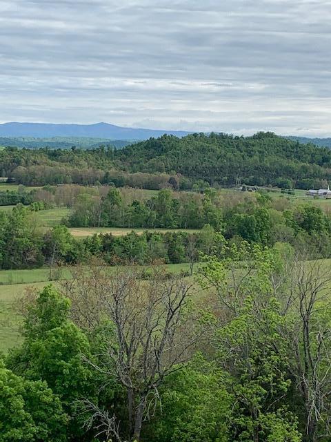 785 Fodderstack Mtn Loop Greeneville Tn 37745, Greeneville, TN 37745 photo 38