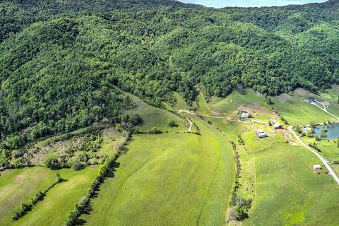 785 Fodderstack Mtn Loop Greeneville Tn 37745, Greeneville, TN 37745 photo 7
