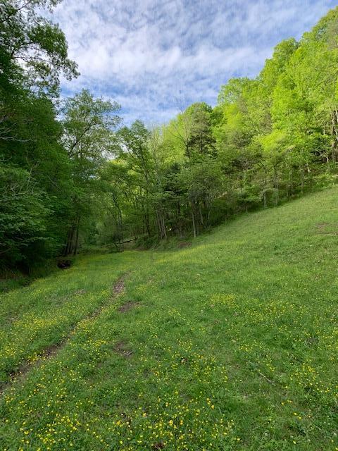 785 Fodderstack Mtn Loop Greeneville Tn 37745, Greeneville, TN 37745 photo 46