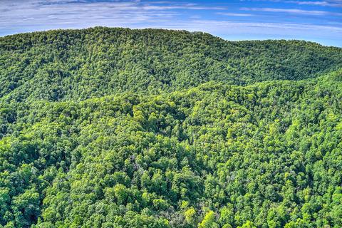 785 Fodderstack Mtn Loop Greeneville Tn 37745, Greeneville, TN 37745 photo 12