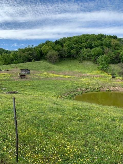 785 Fodderstack Mtn Loop Greeneville Tn 37745, Greeneville, TN 37745 photo 26