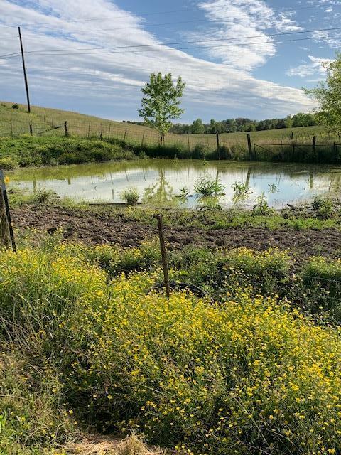 785 Fodderstack Mtn Loop Greeneville Tn 37745, Greeneville, TN 37745 photo 50