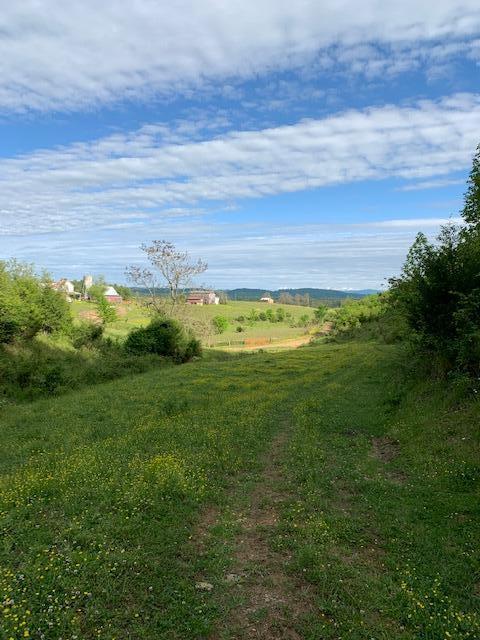 785 Fodderstack Mtn Loop Greeneville Tn 37745, Greeneville, TN 37745 photo 44