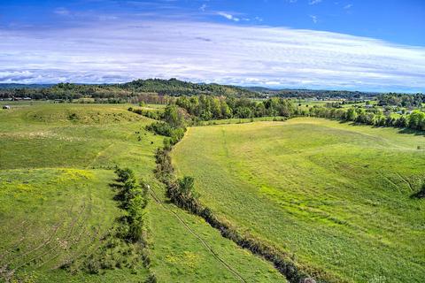 785 Fodderstack Mtn Loop Greeneville Tn 37745, Greeneville, TN 37745 photo 19