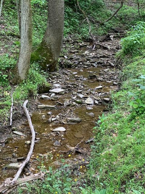 785 Fodderstack Mtn Loop Greeneville Tn 37745, Greeneville, TN 37745 photo 47