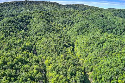 785 Fodderstack Mtn Loop Greeneville Tn 37745, Greeneville, TN 37745 photo 10