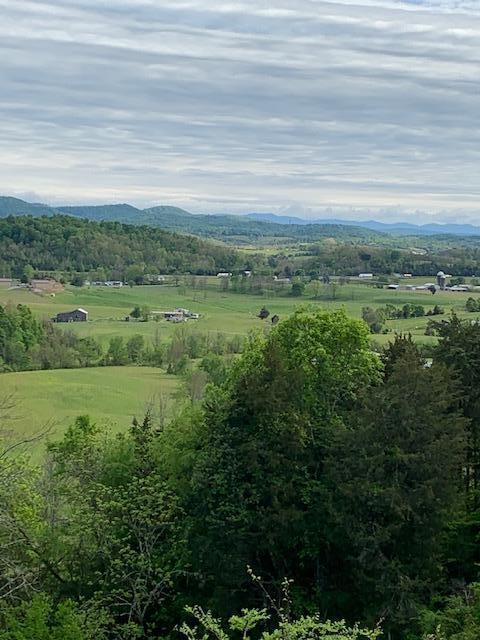 785 Fodderstack Mtn Loop Greeneville Tn 37745, Greeneville, TN 37745 photo 39