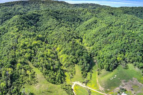 785 Fodderstack Mtn Loop Greeneville Tn 37745, Greeneville, TN 37745 photo 9