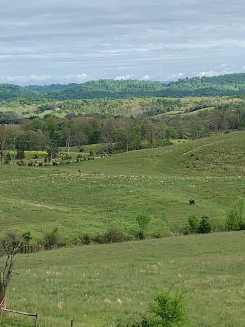 785 Fodderstack Mtn Loop Greeneville Tn 37745, Greeneville, TN 37745 photo 34