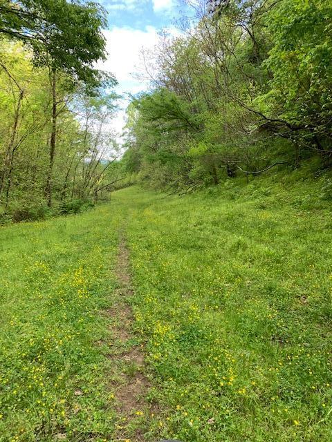 785 Fodderstack Mtn Loop Greeneville Tn 37745, Greeneville, TN 37745 photo 43