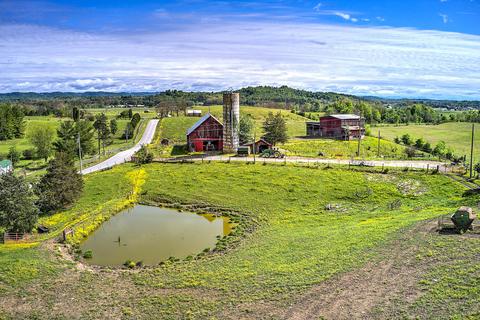 785 Fodderstack Mtn Loop Greeneville Tn 37745, Greeneville, TN 37745 photo 17