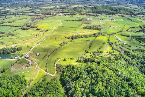 785 Fodderstack Mtn Loop Greeneville Tn 37745, Greeneville, TN 37745 photo 15