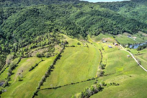 785 Fodderstack Mtn Loop Greeneville Tn 37745, Greeneville, TN 37745 photo 6