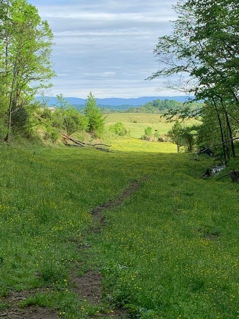 785 Fodderstack Mtn Loop Greeneville Tn 37745, Greeneville, TN 37745 photo 48