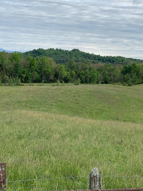 785 Fodderstack Mtn Loop Greeneville Tn 37745, Greeneville, TN 37745 photo 31